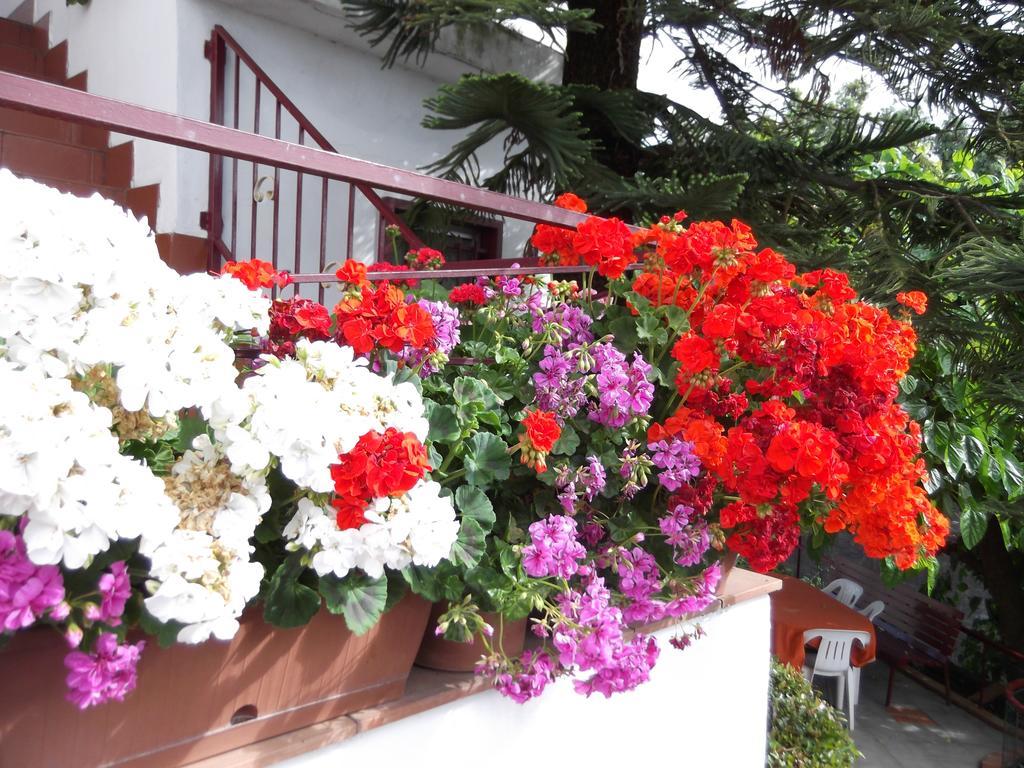 Casavacanzeinsicilia Etna Taormina Villa Piedimonte Etneo Rom bilde