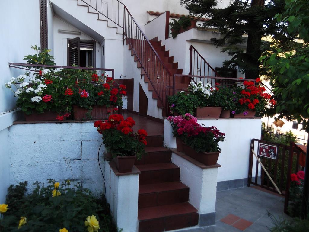 Casavacanzeinsicilia Etna Taormina Villa Piedimonte Etneo Eksteriør bilde